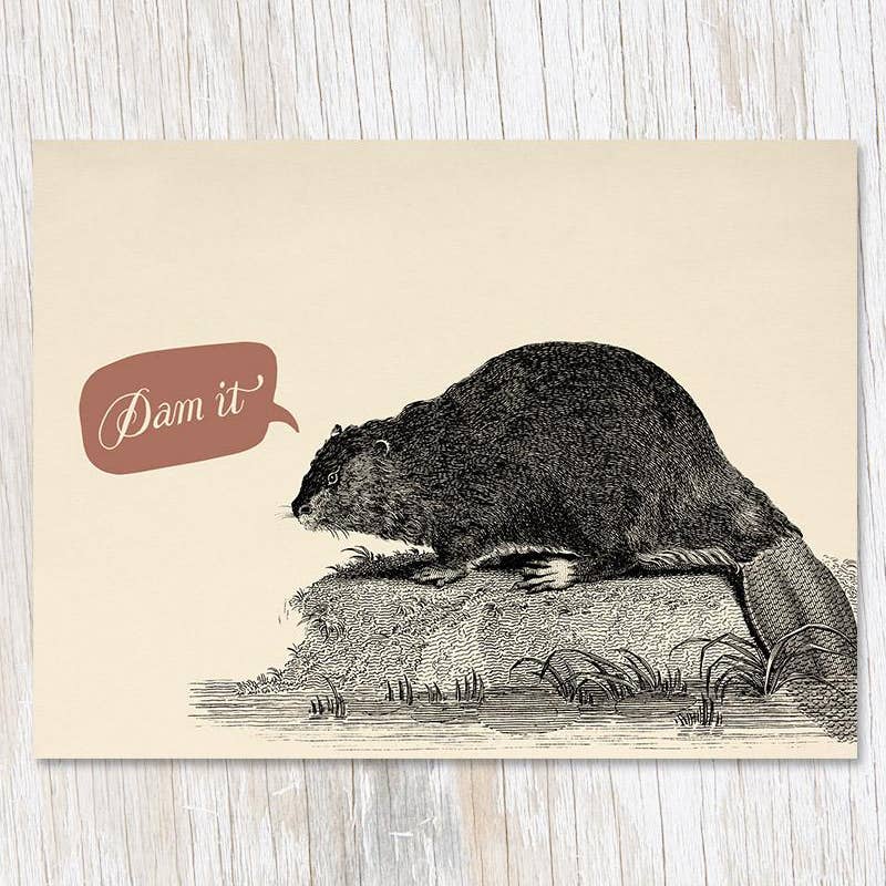 Beaver Dam Card