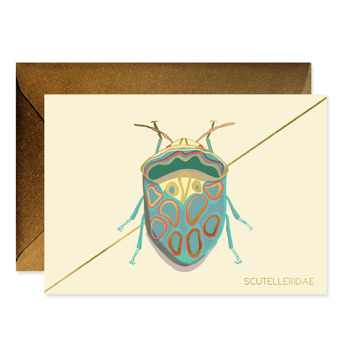 Teal Beetle Bug Cards