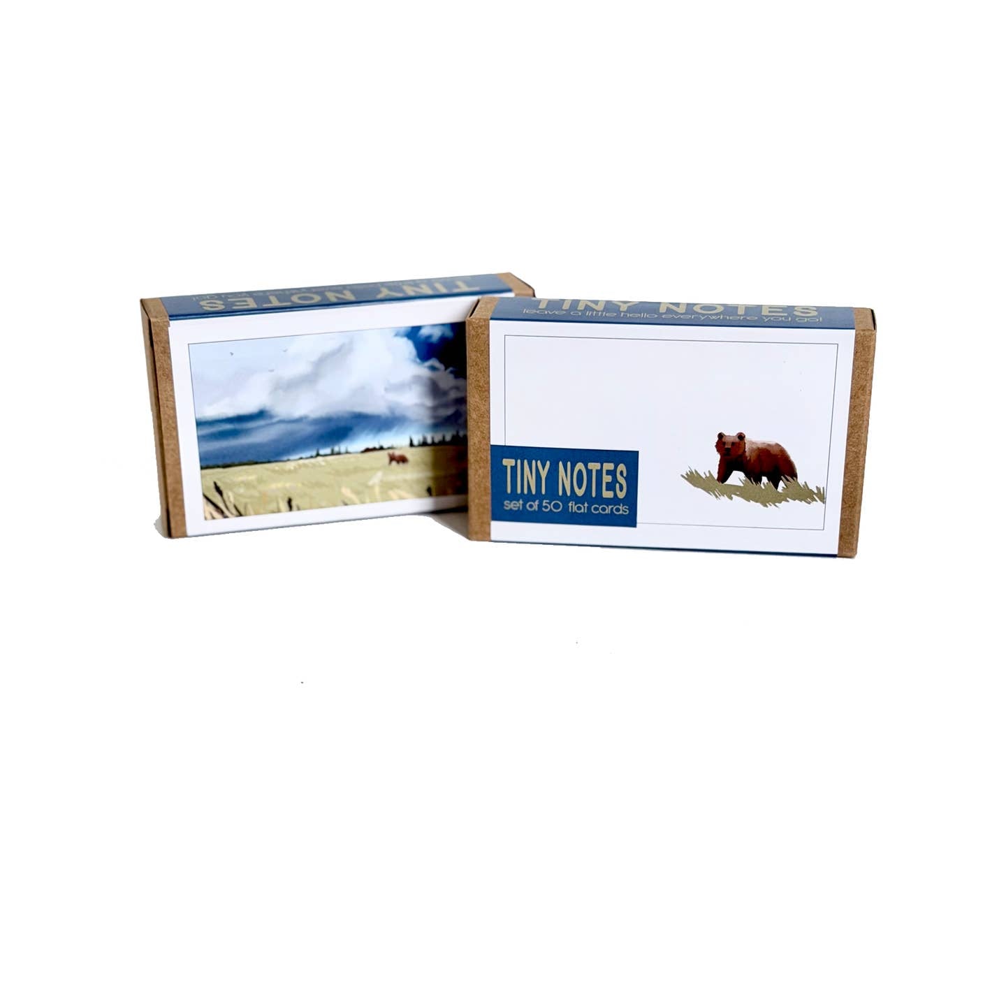 Grizzly Storm Tiny Notes Cards