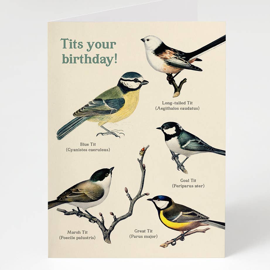Tits Your Birthday Bird Card