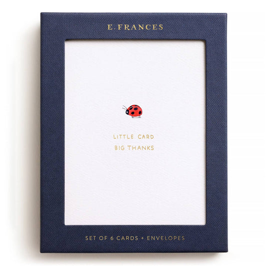 Little Card Big Thanks Ladybug Card