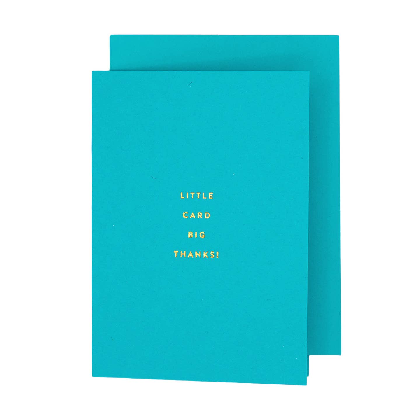 Little Card Big Thanks Card