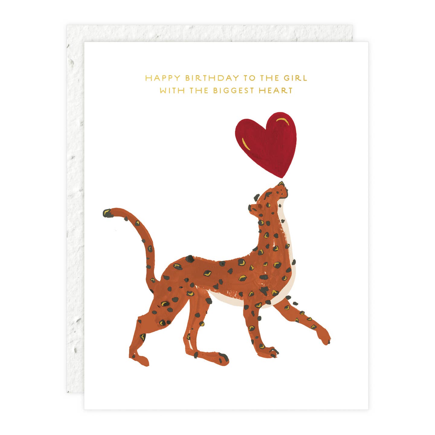 Biggest Heart Birthday Card