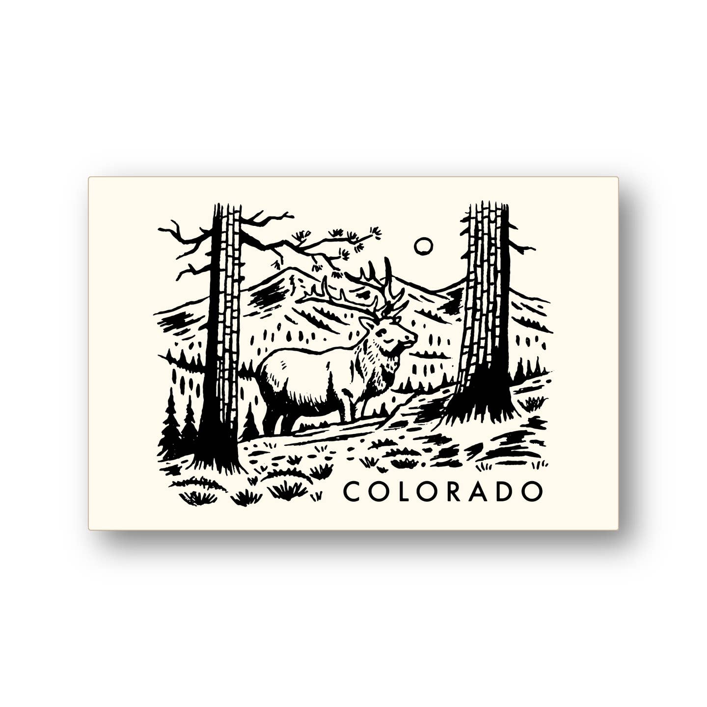 Colorado Elk Postcard