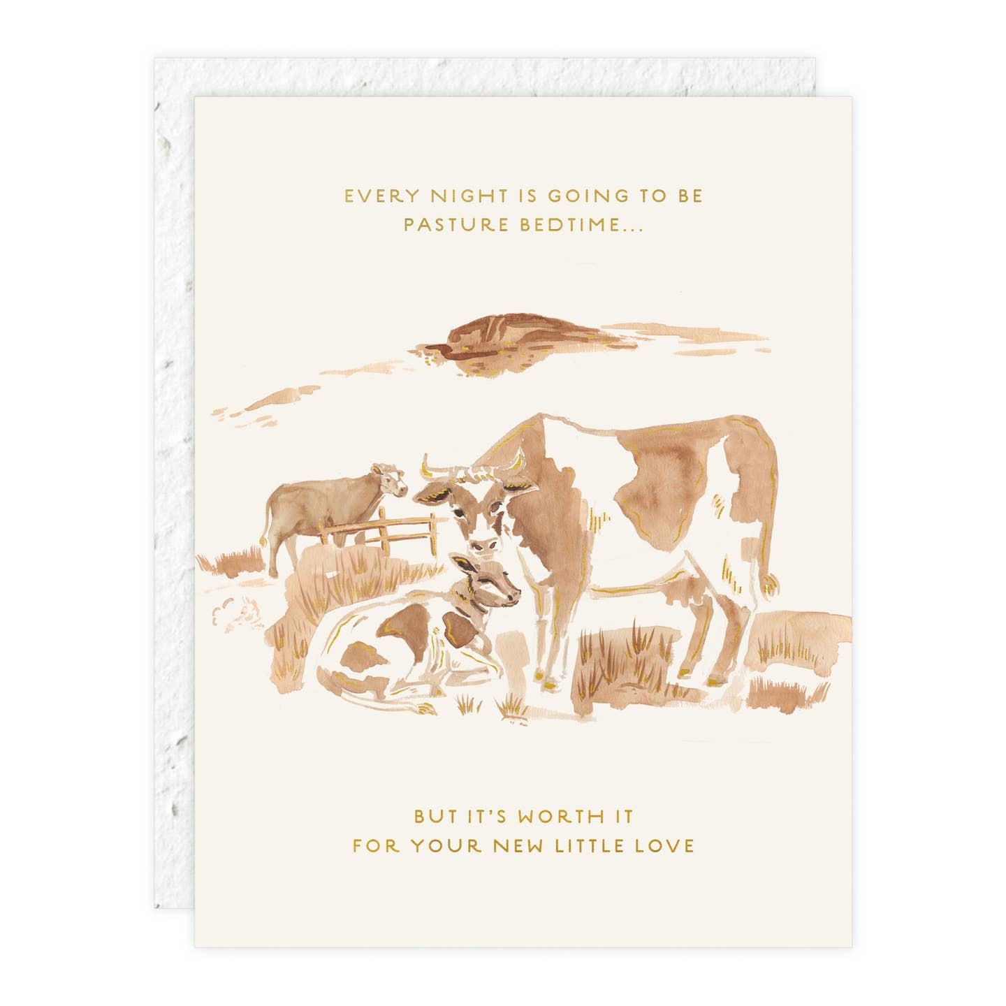 Every Night Pasture Bedtime New Baby Card