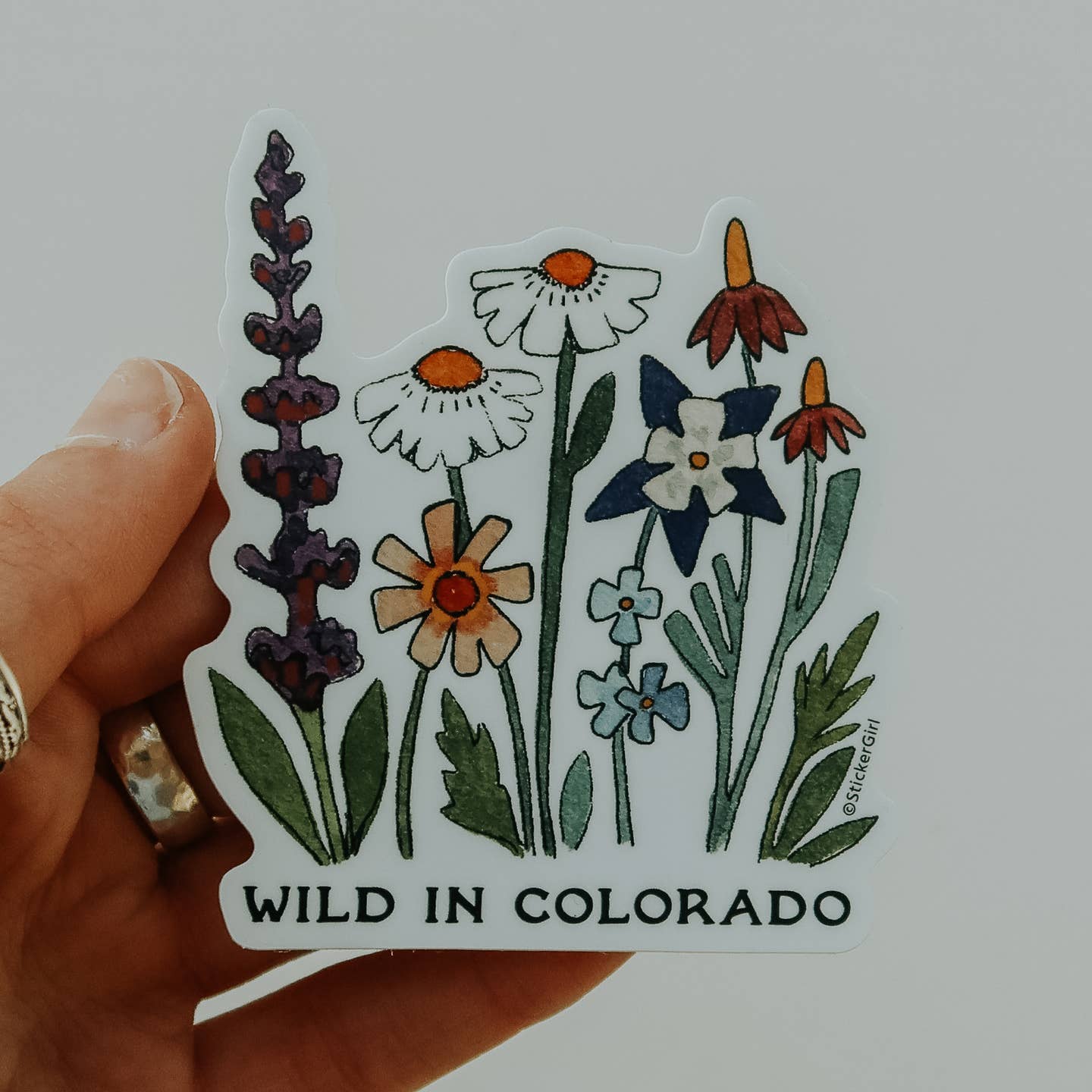 Wild in Colorado Sticker