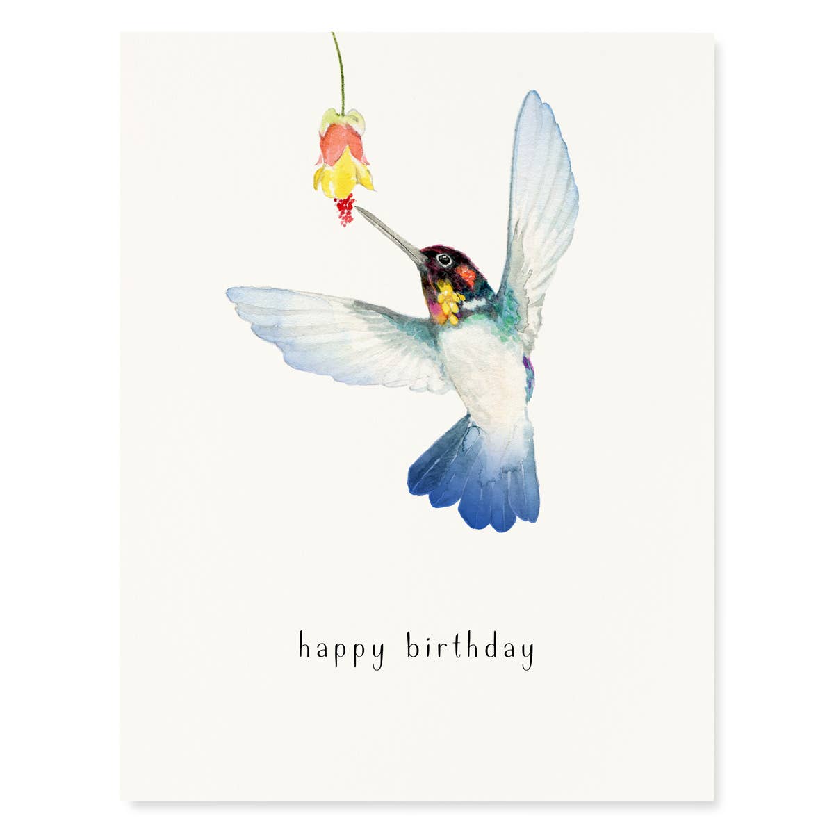 Bee Hummingbird Birthday Card