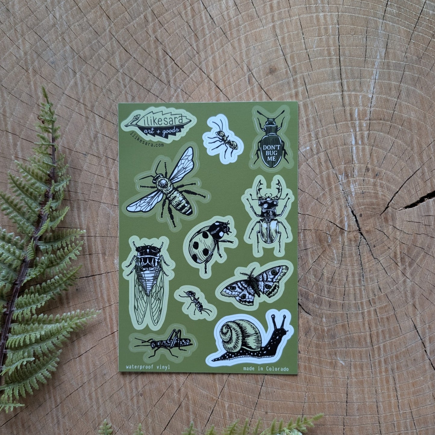 Insecta Sticker Sheet