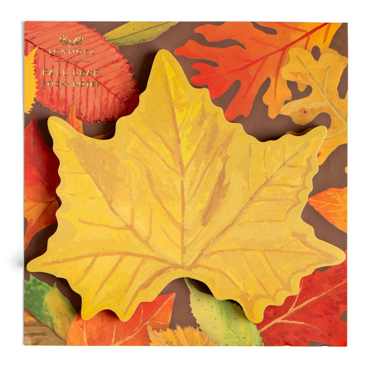 Fallen Leaves Sticky Notes
