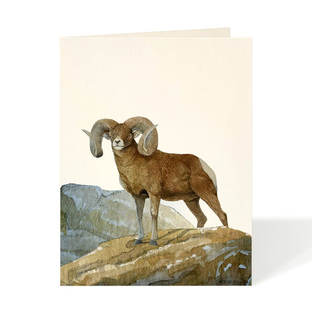 Ram Bighorn Blank Card