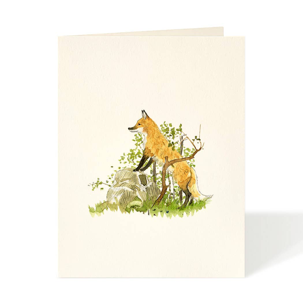 Scouting Fox Blank Card