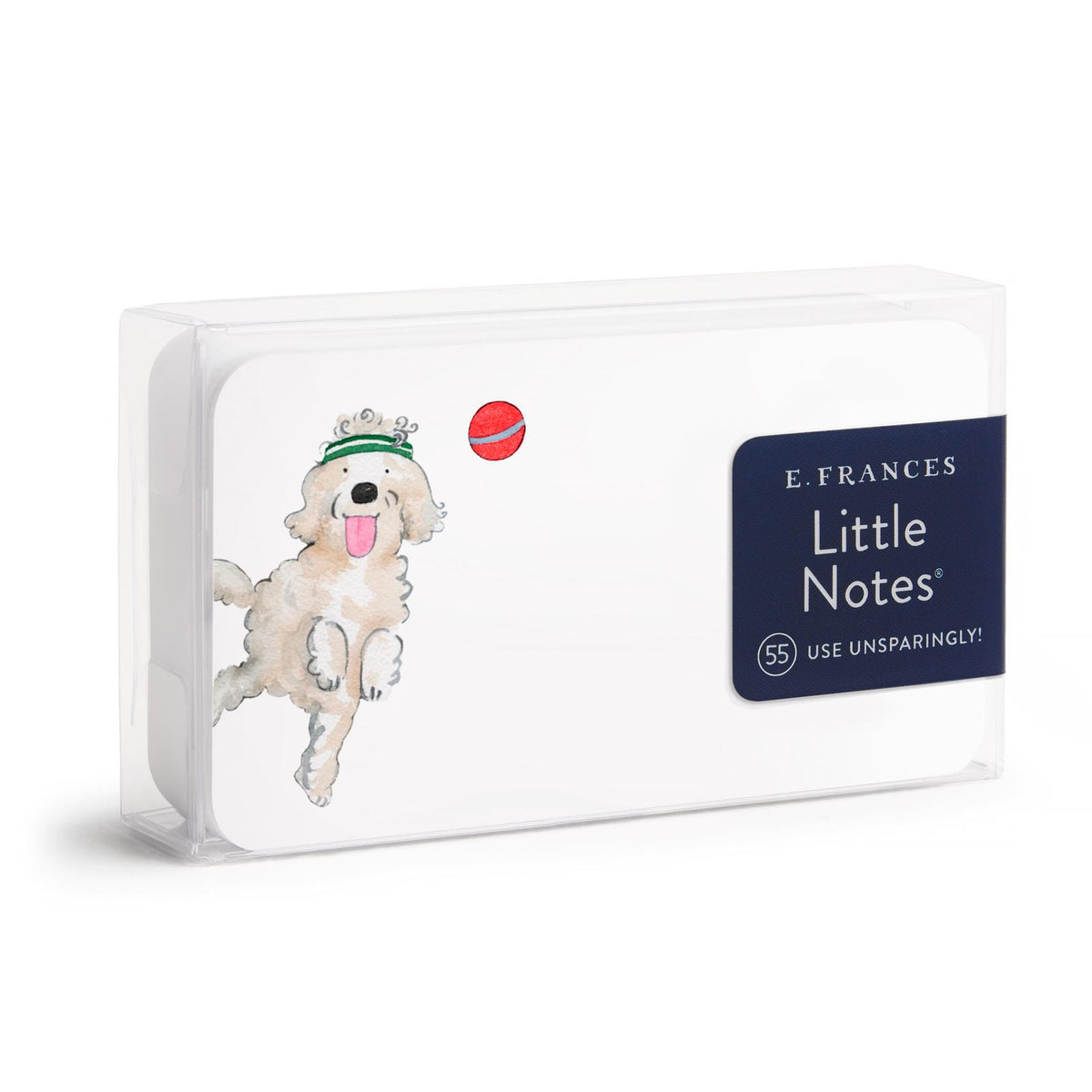 Off Leash Dog Little Notes