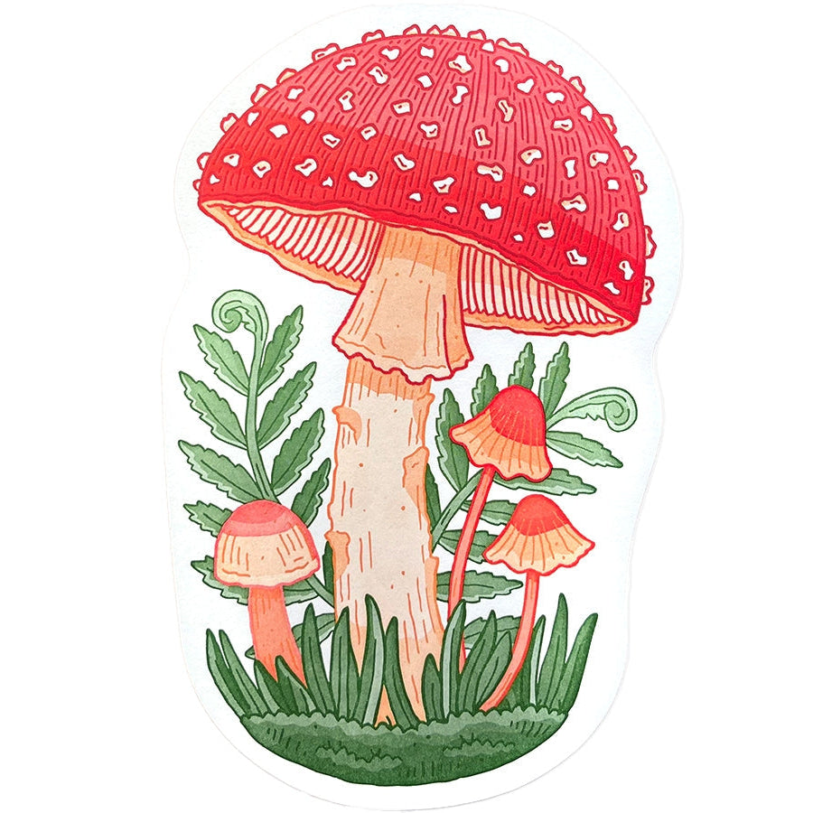 Mushroom Postcard