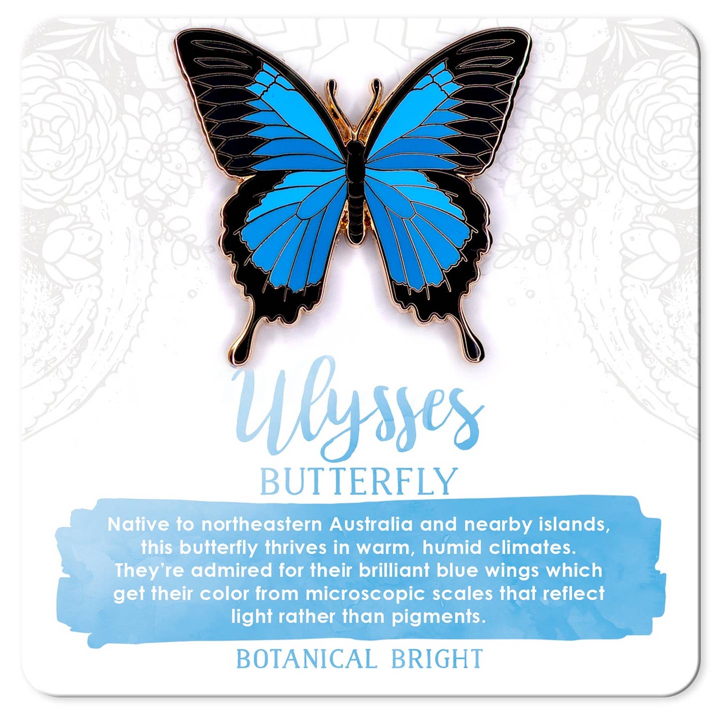 Ulysses Butterfly Enamel Pin