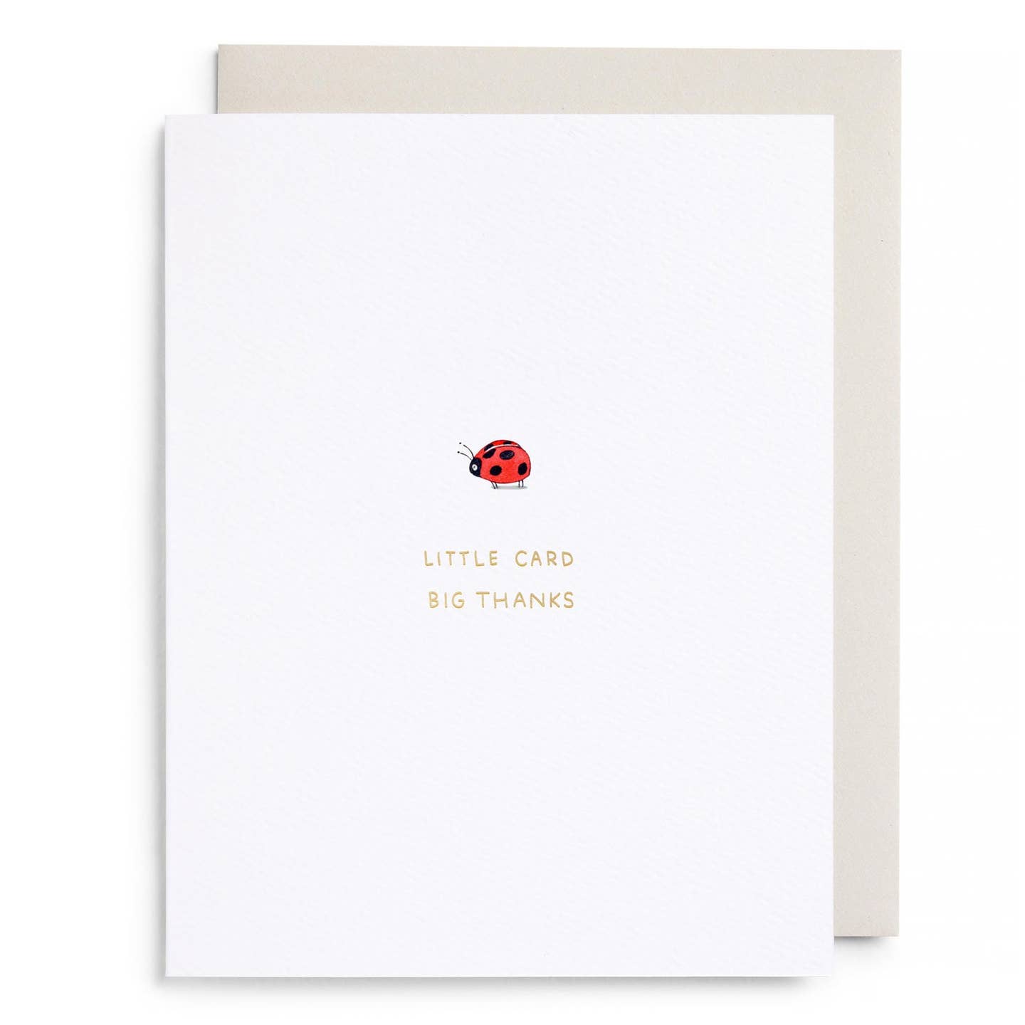 Little Card Big Thanks Ladybug Card
