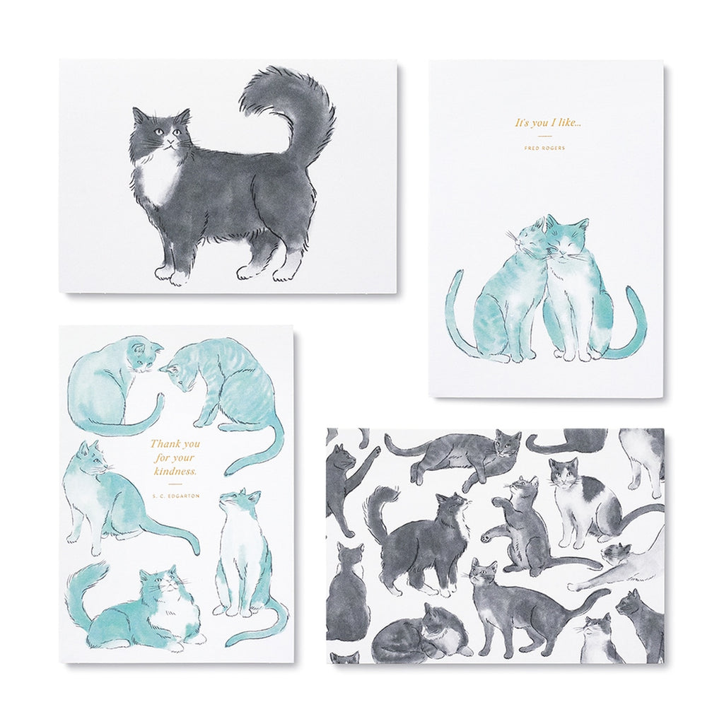 Cat Themed Note Cards Box — Marrygrams