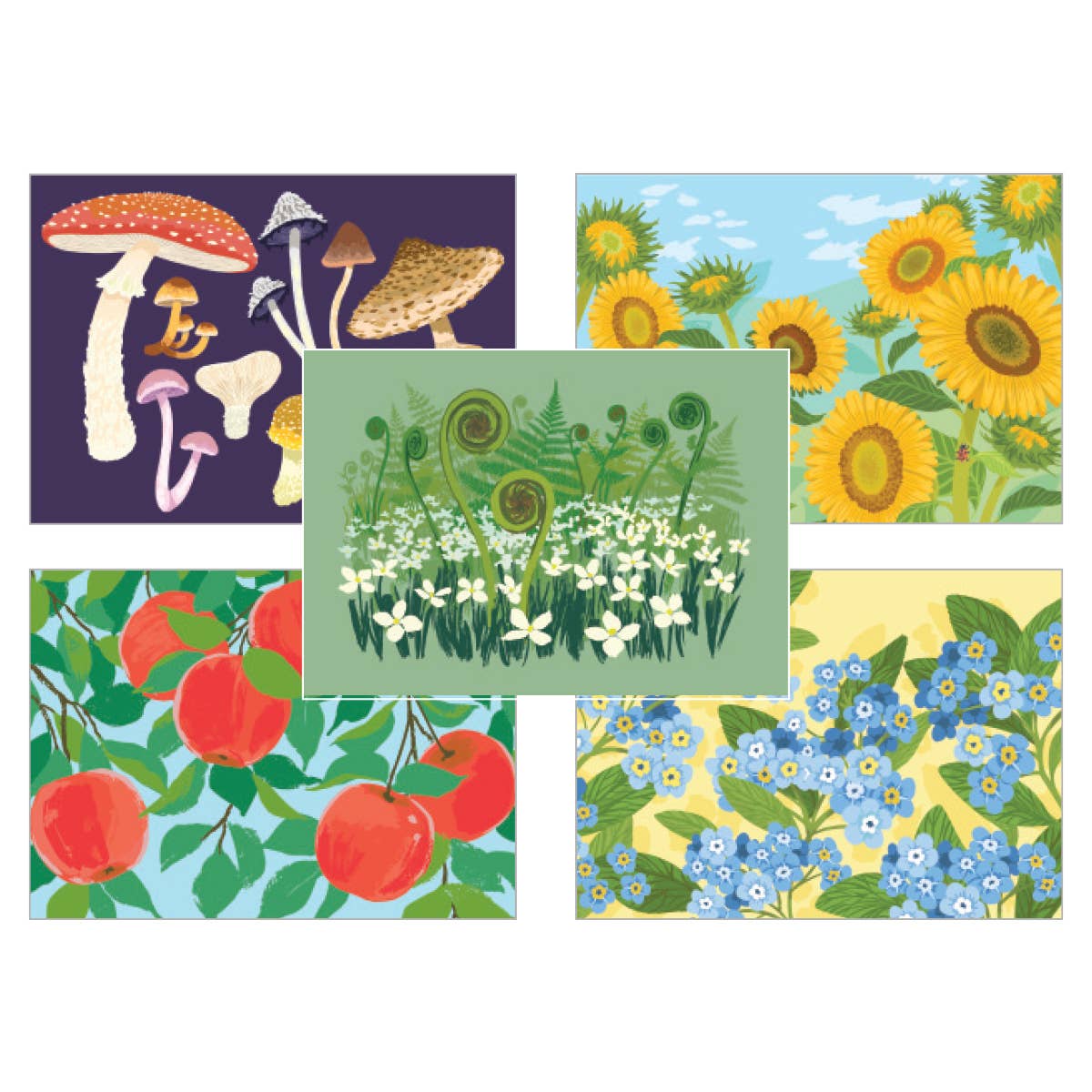 Foraging Box Card Set