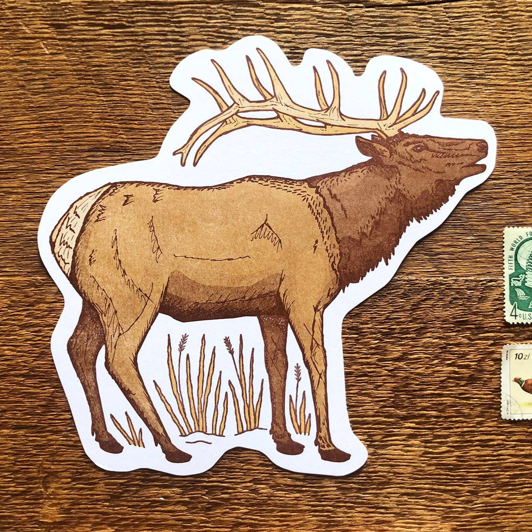 Elk Postcard