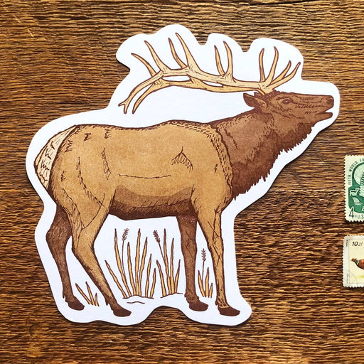 Elk Postcard