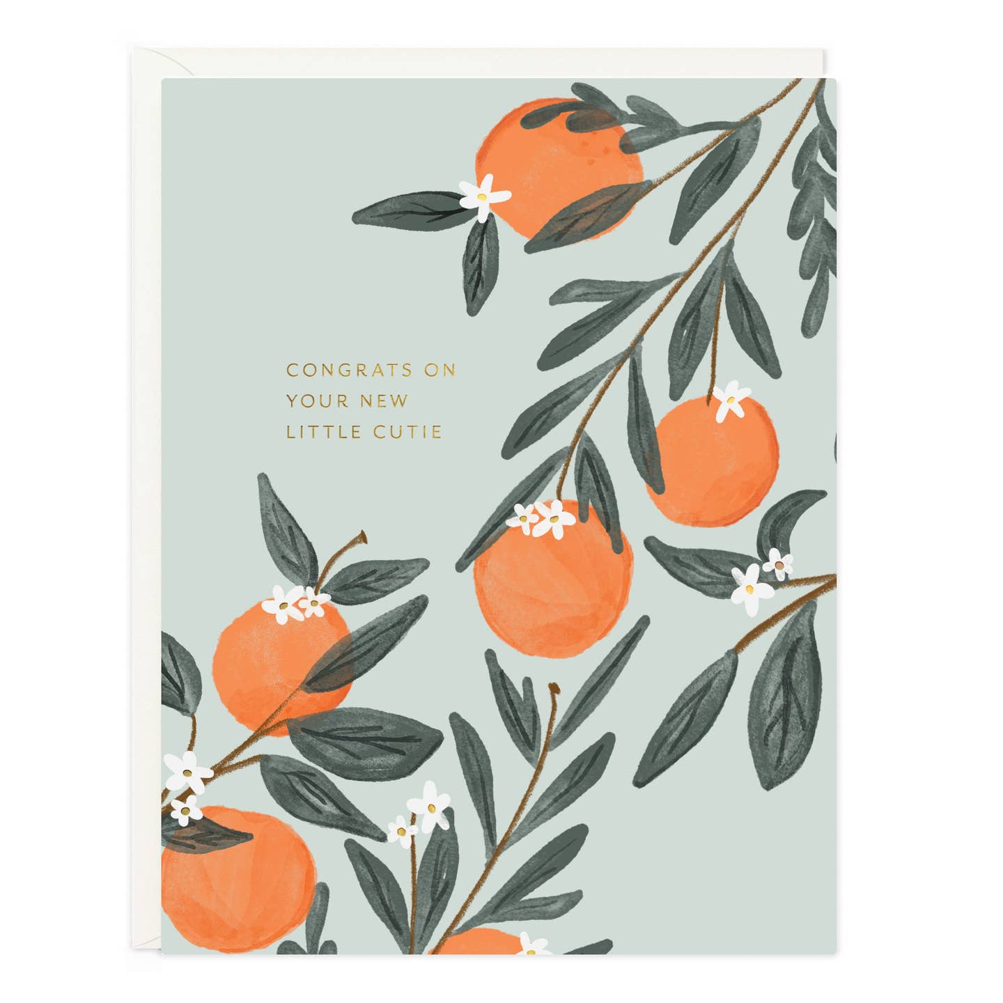 New Little Cutie Baby Card