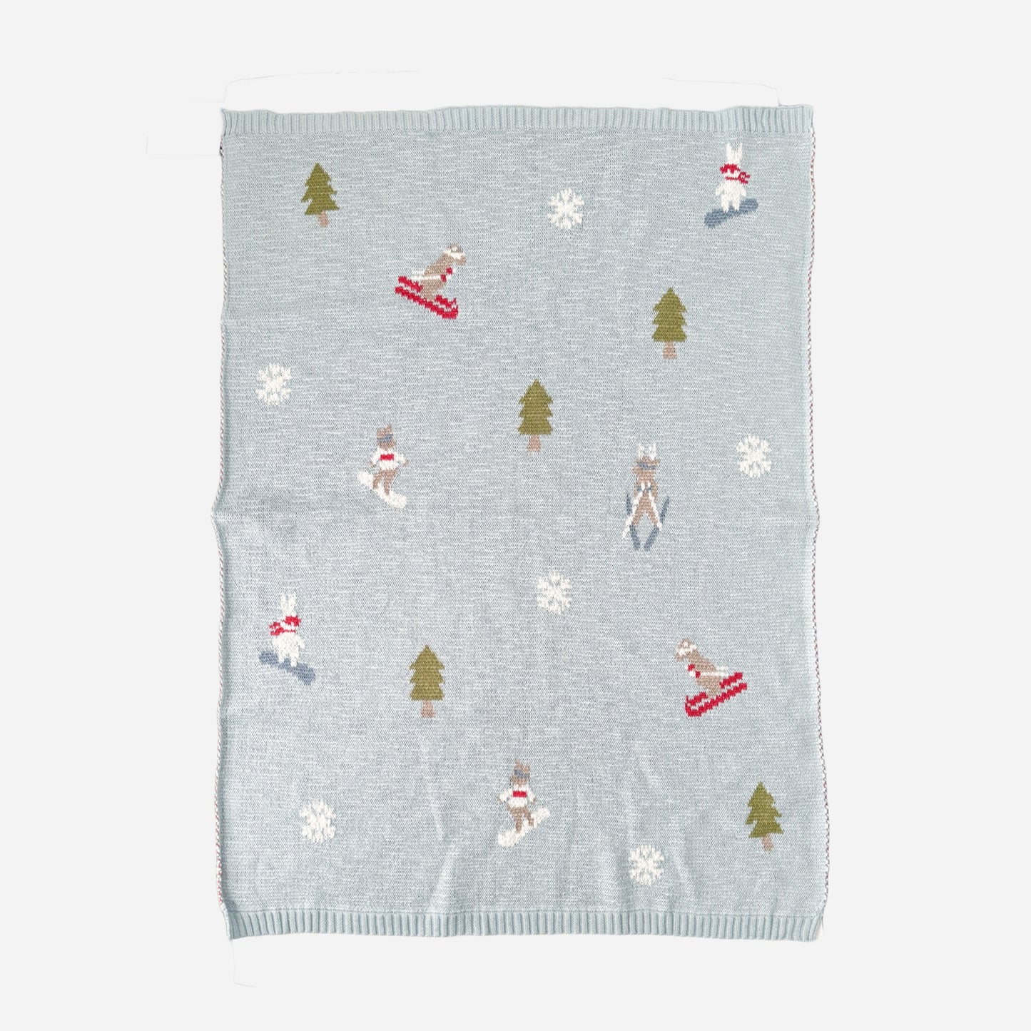 Ski & Board Baby Blanket