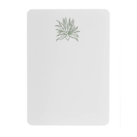 Agave Tails Boxed Notecards