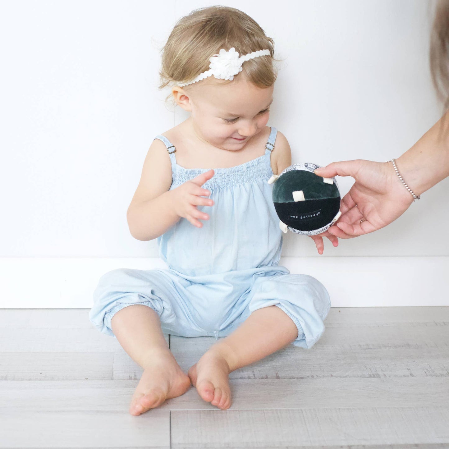 Taggy Ball with Rattle