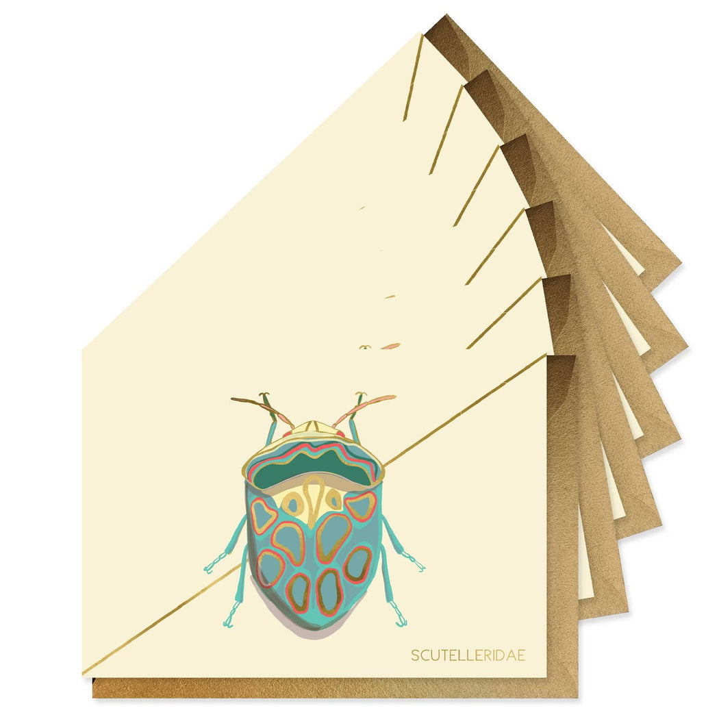 Teal Beetle Bug Cards