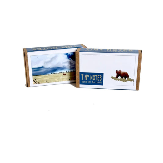 Grizzly Storm Tiny Notes Cards