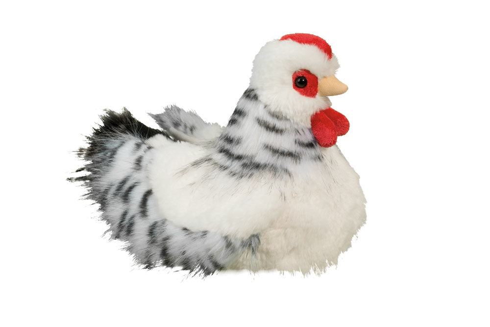 Salty Black White Hen