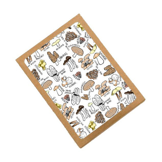 Mushroom Box Set of Cards