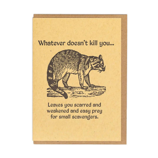 Easy Prey Raccoon Card