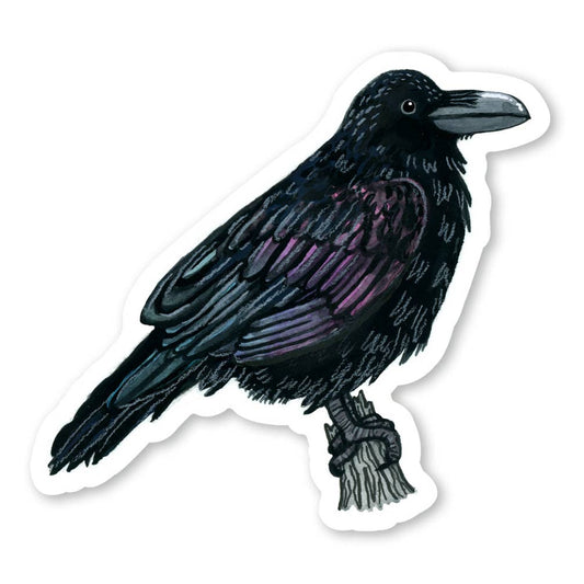Raven Sticker