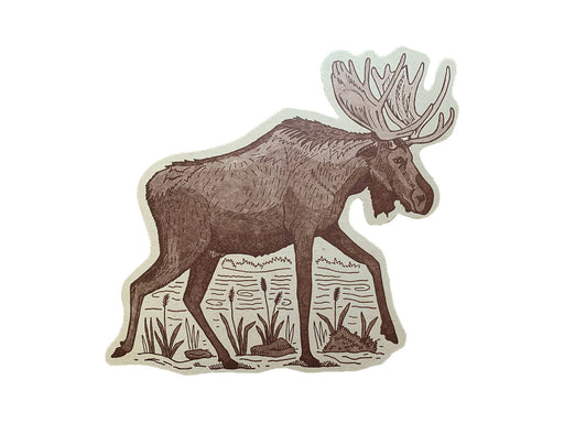 Moose Postcard