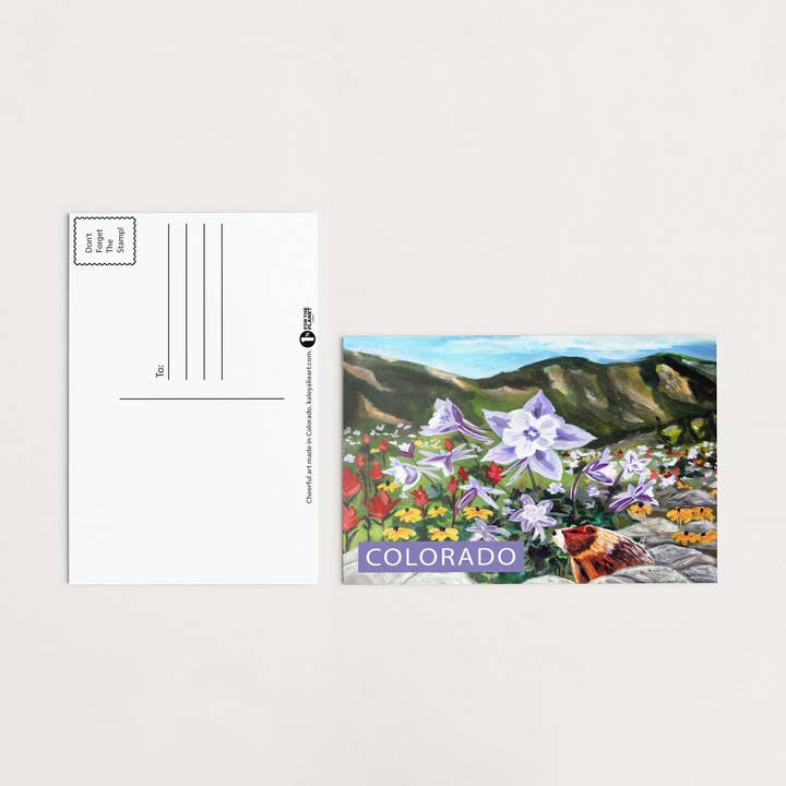 Alpine Marmot Colorado Postcard