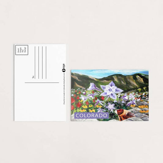 Alpine Marmot Colorado Postcard