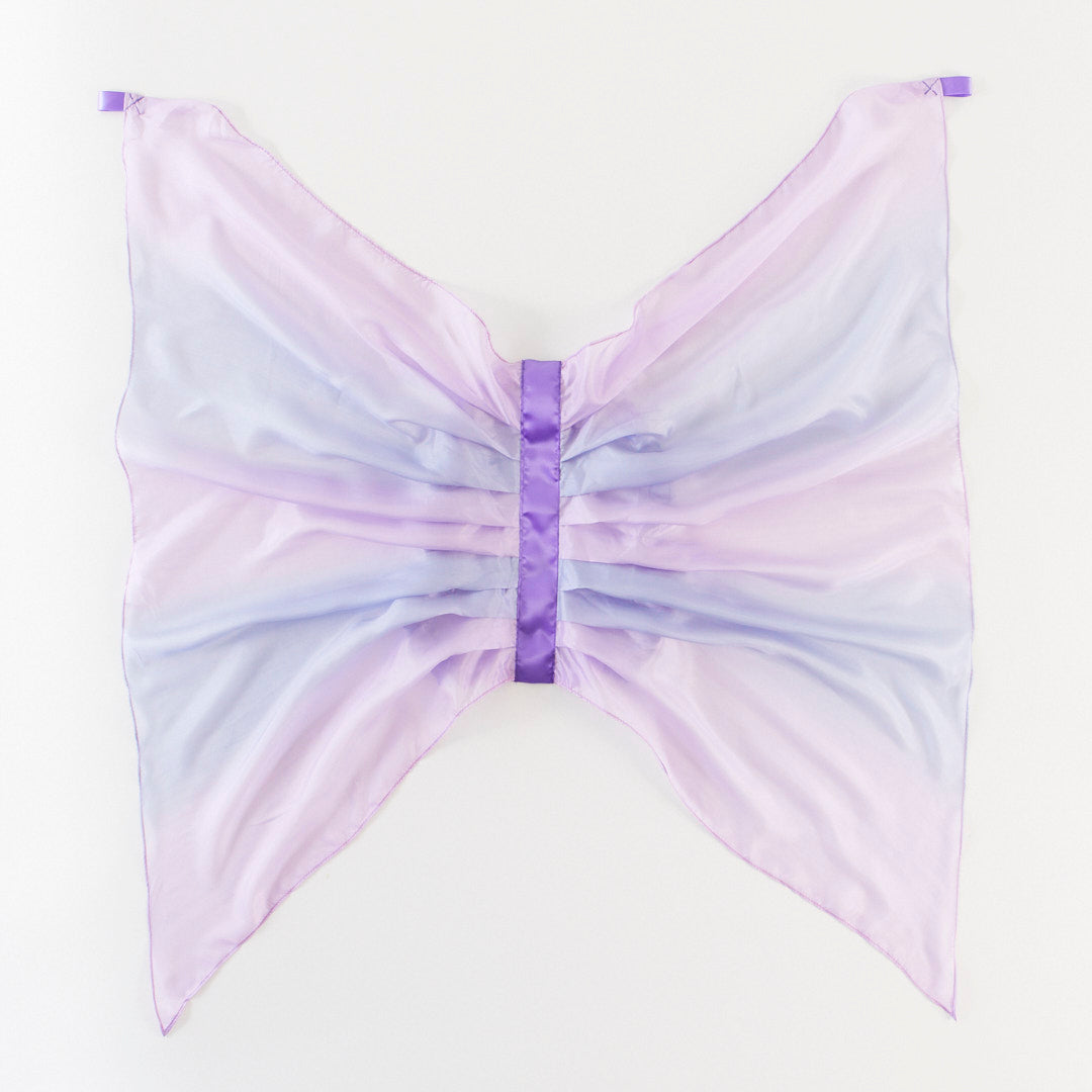 Silk Fairy Wings