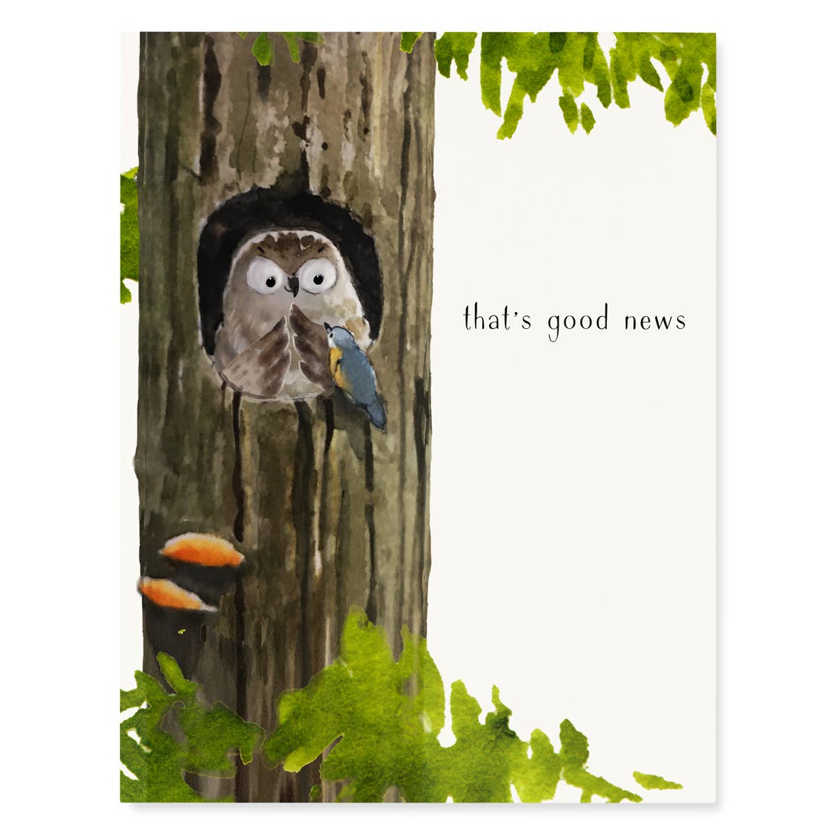 Owl Visitor Good News Card