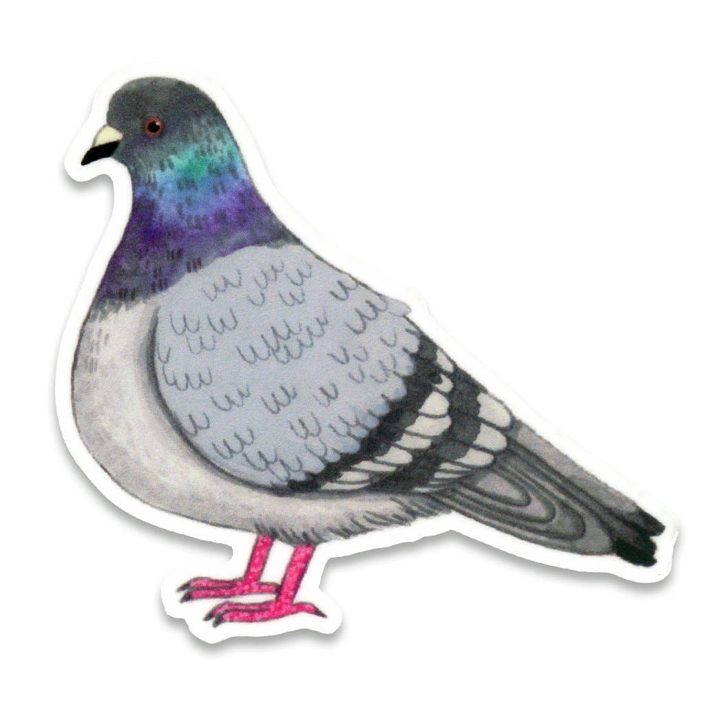 Pigeon Bird Vinyl Sticker