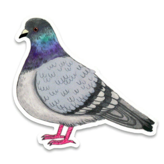 Pigeon Bird Vinyl Sticker