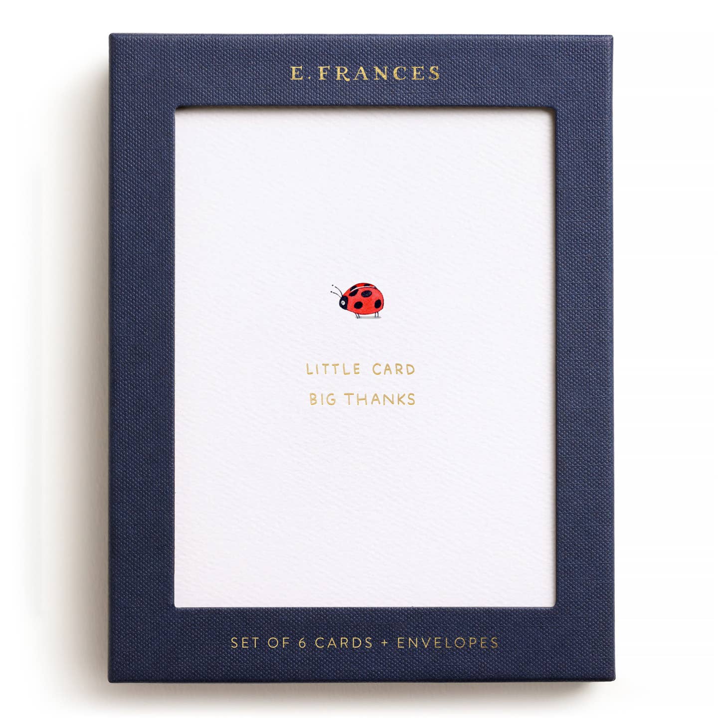 Little Card Big Thanks Ladybug Card