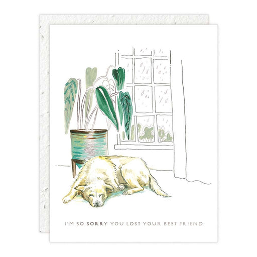 Sorry You Lost Your Best Friend Pet Sympathy Card