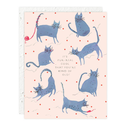 Cats Fur Real Cool Youre Old Birthday Card
