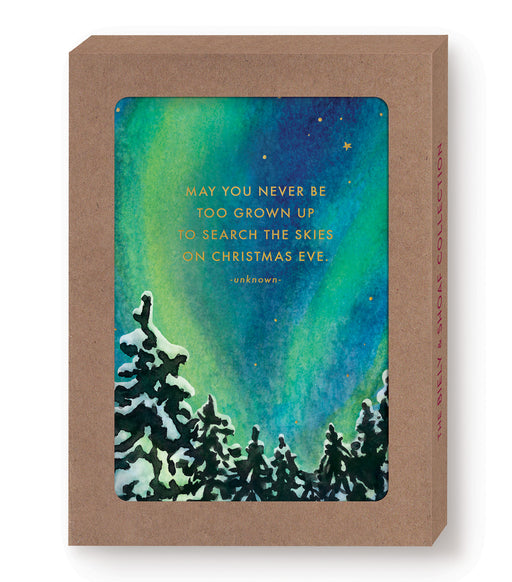 Search the Skies Christmas Boxed Card Set