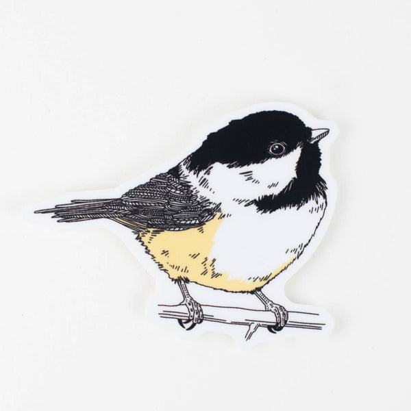 Chickadee Bird Vinyl Sticker