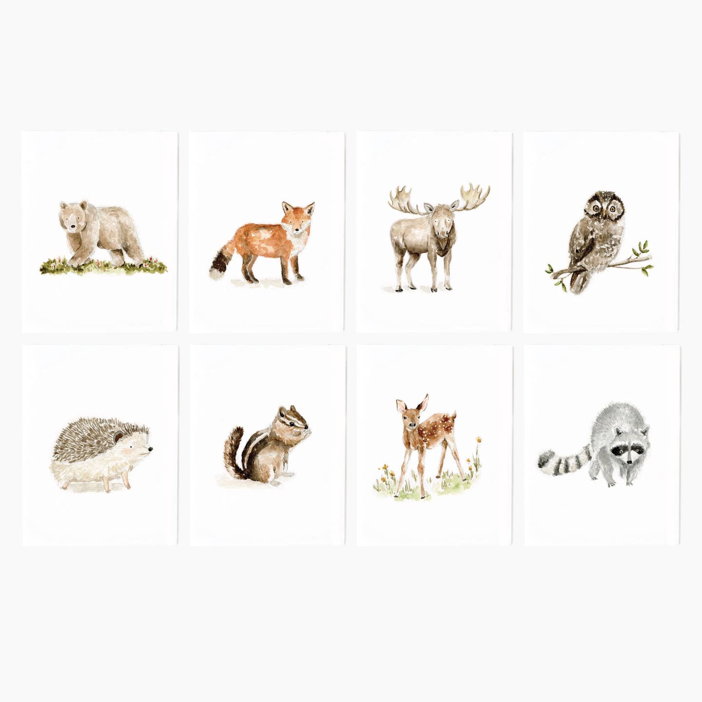 Woodland Animals Blank Card Set