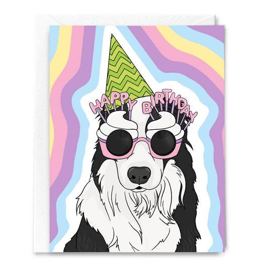 Border Collie Birthday Dog Card