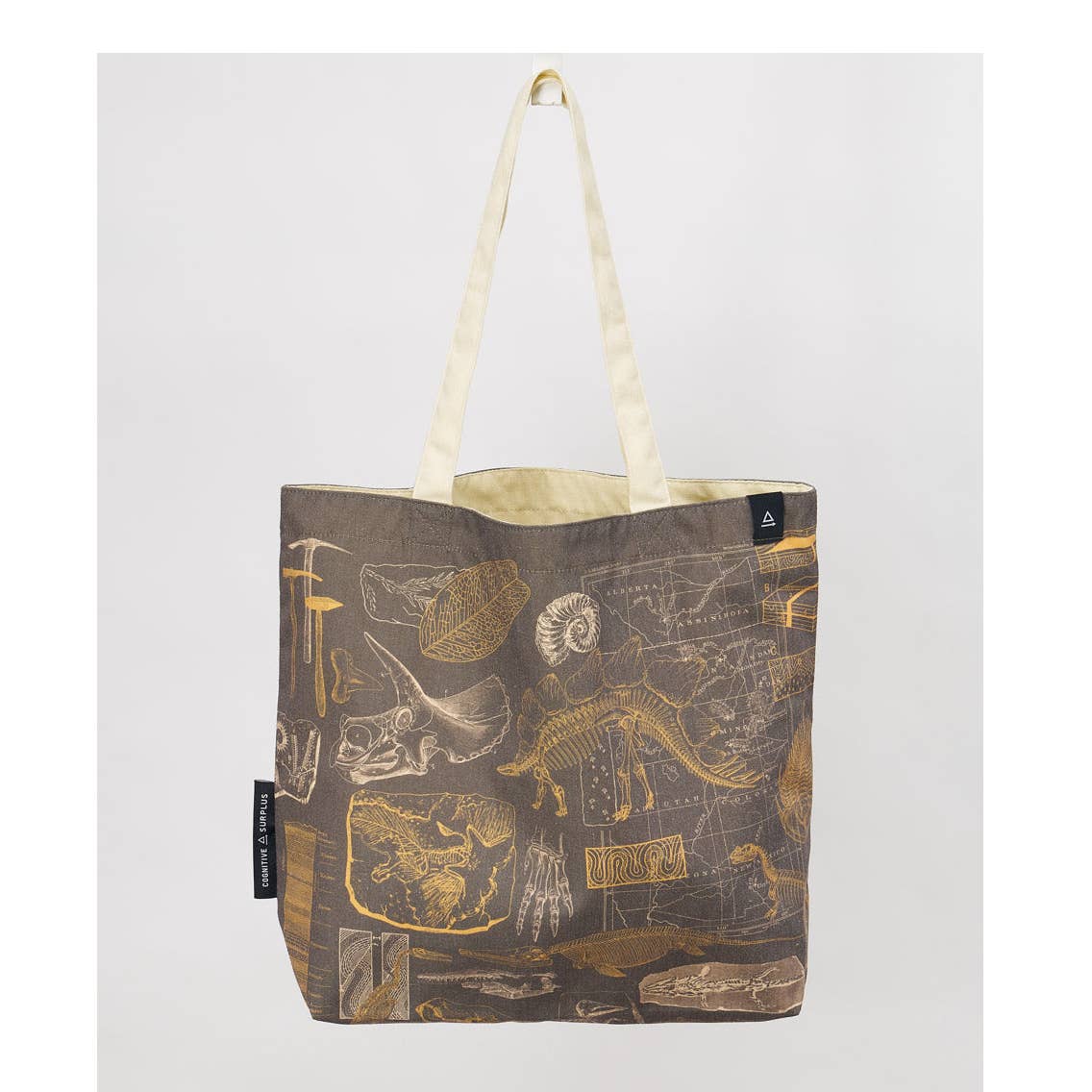 Dinosaurs Canvas Tote Bag