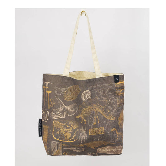 Dinosaurs Canvas Tote Bag
