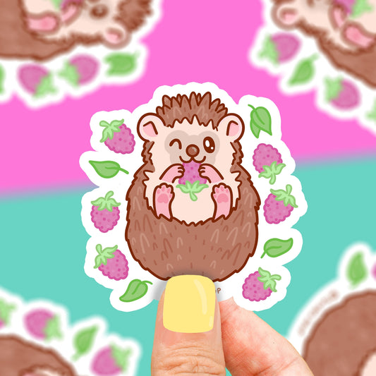 Hedgehog Wink Vinyl Sticker